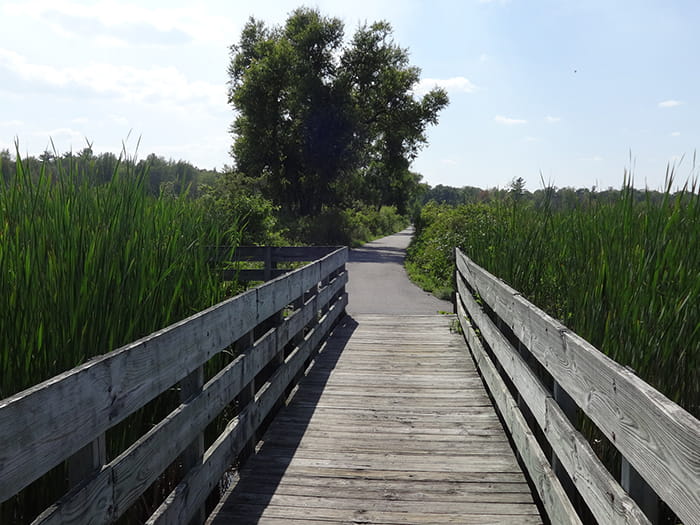 bay city trail