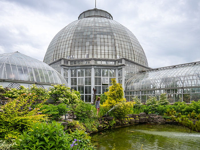 glass dome with plants