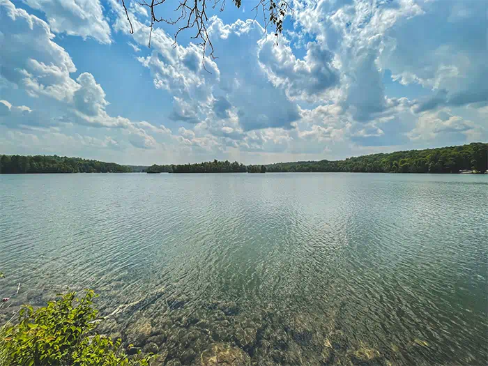 water with shore in distance