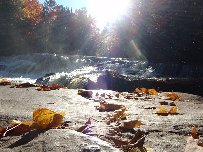 bond falls fall