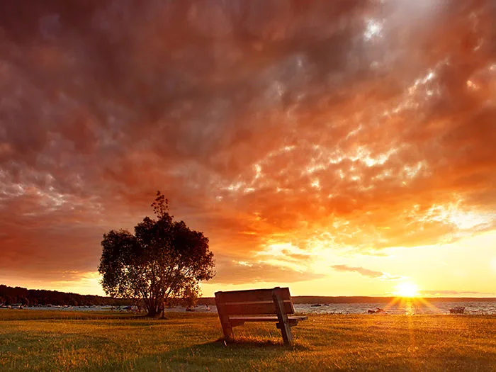 bench in front of Burt Lake sunset