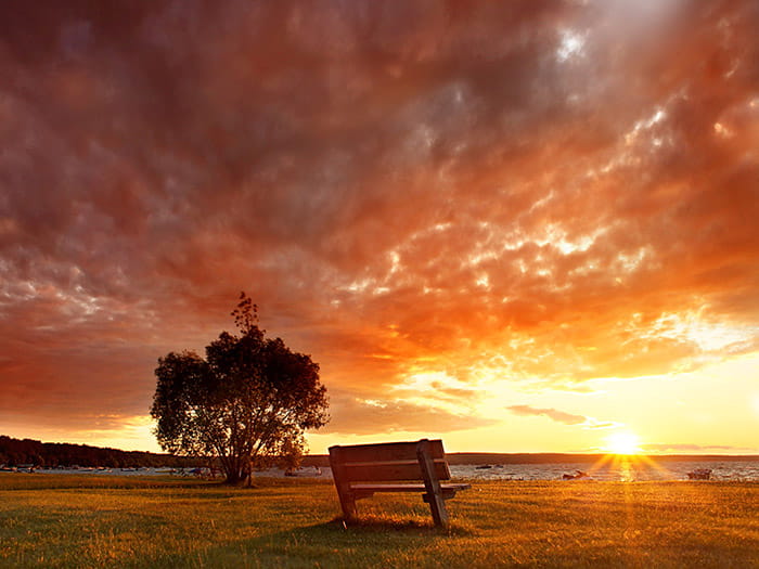 bench in front of Burt Lake sunset