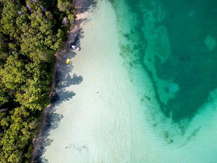 birds eye view of forest land and water