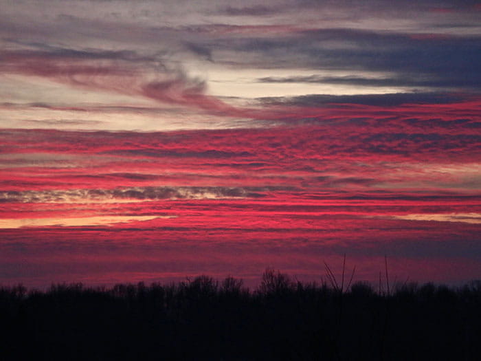 pink sky above treeline