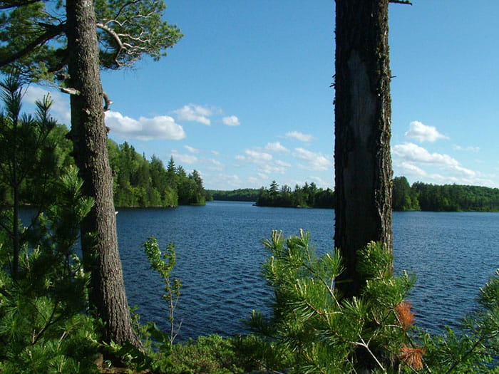 Craig Lake through the trees