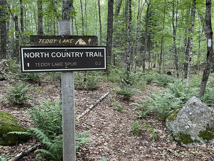 North Country Trail sign along trail