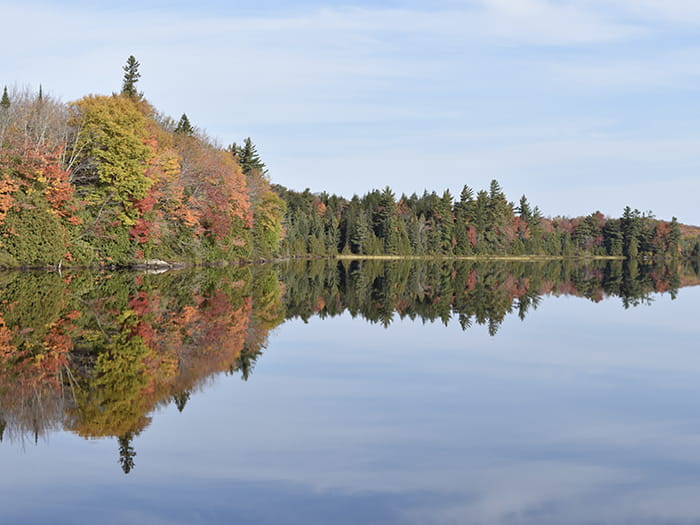 fall color with tree reflection in lake
