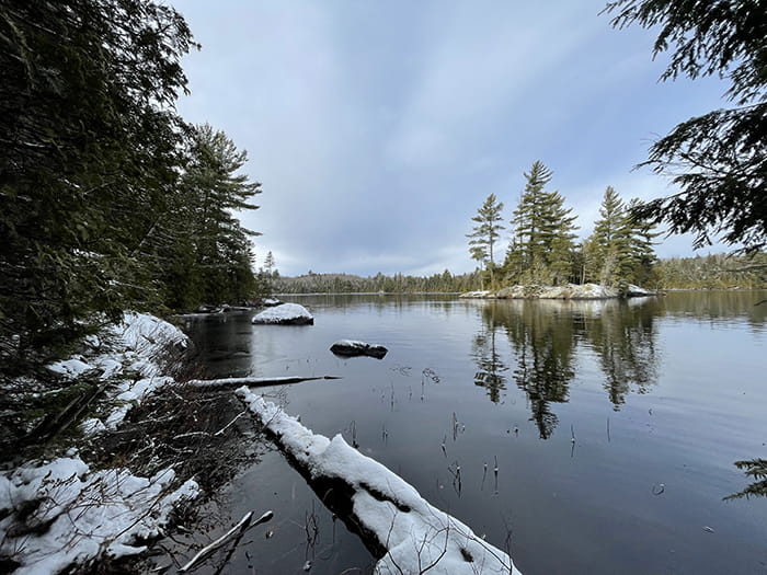 snow cover log in lake