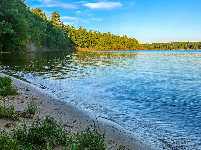 Duck Lake shoreline by Greg Viau Instagram gregviau