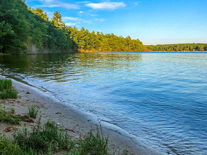 Duck Lake shoreline by Greg Viau Instagram gregviau