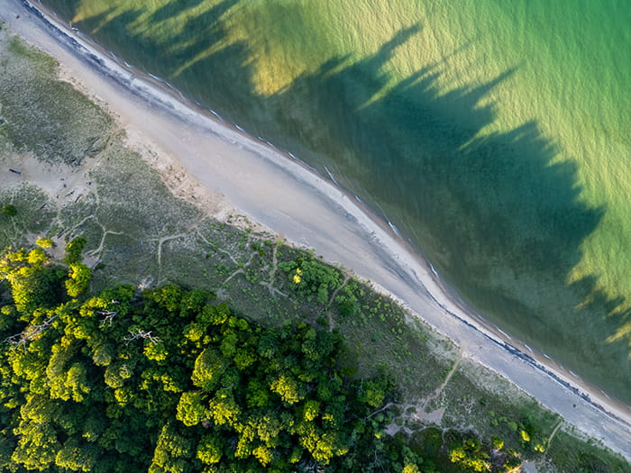 birds eye view of trees sand and water