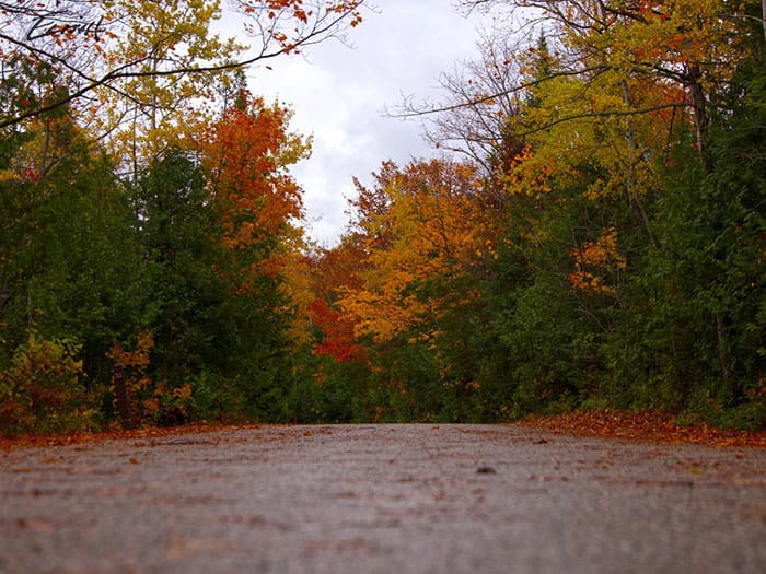 Fishermans Island road photo by Browning