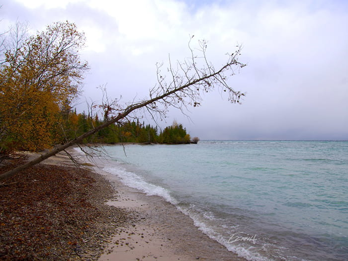 Fishermans Island Shoreline