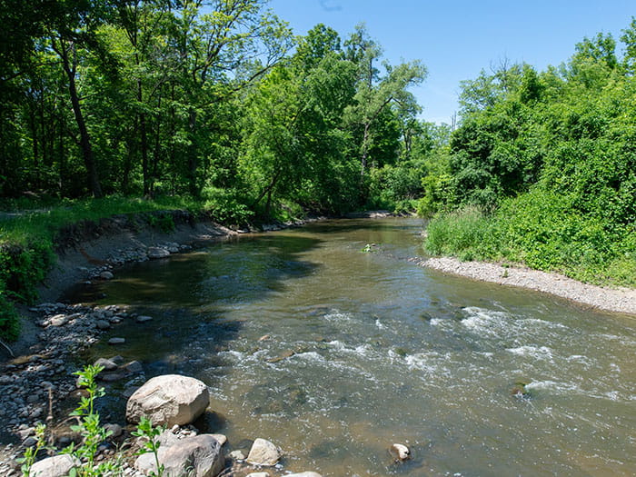 Swartz Creek running through Happy Hollow Unit