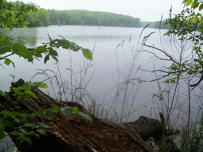 Eagle lake