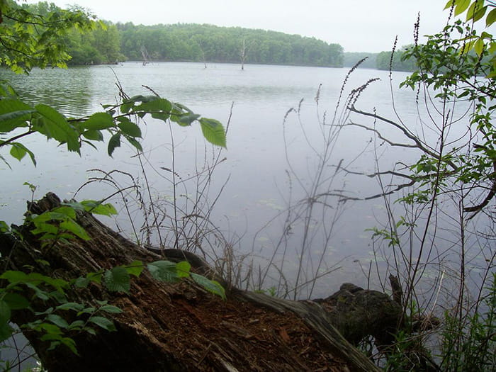 Eagle lake