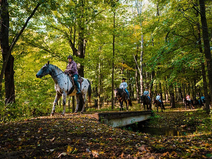 Equestrian Trails at Fort Custer