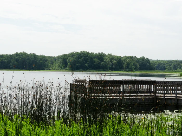 Whitford Lawler Lake