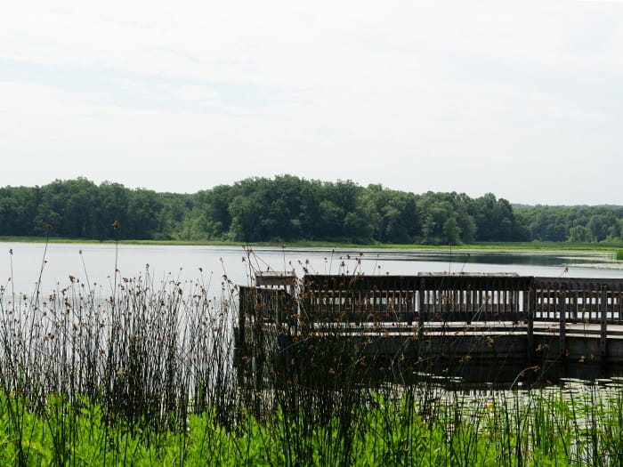 Whitford Lawler Lake