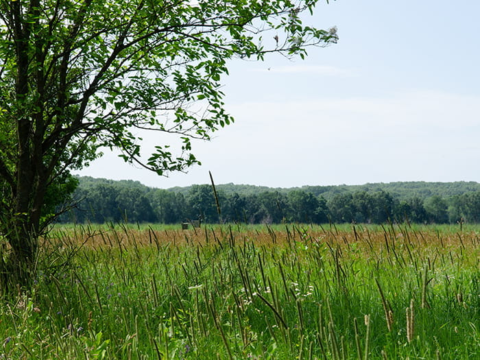 fort custer prairie