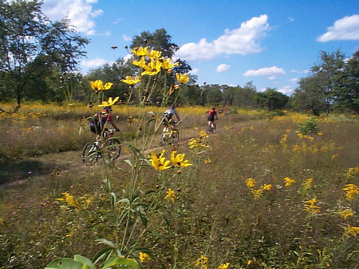 mountain bikes in prairie