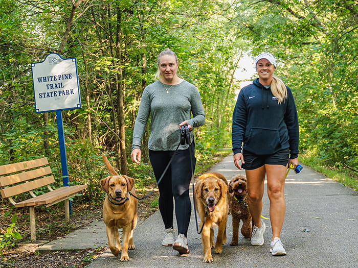 Two people walking leashed dogs on trail