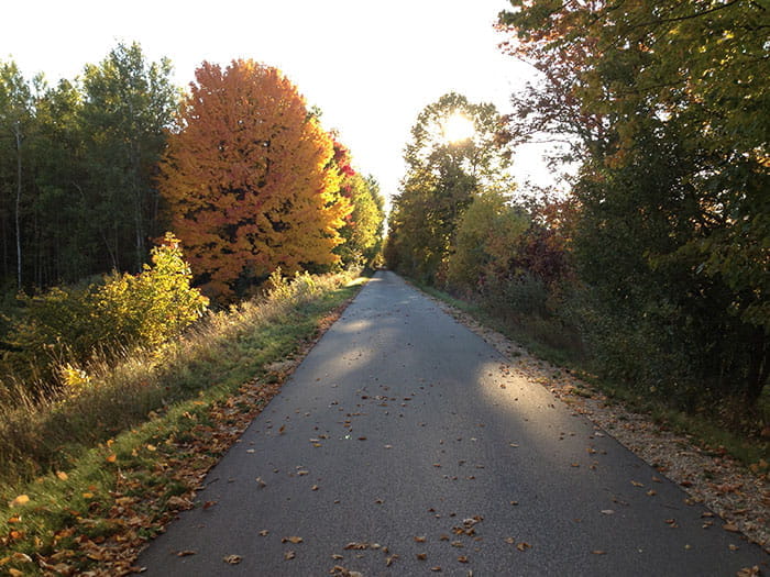 White Pine Trail fall colors