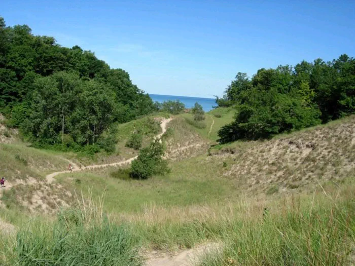 Trails in between dunes