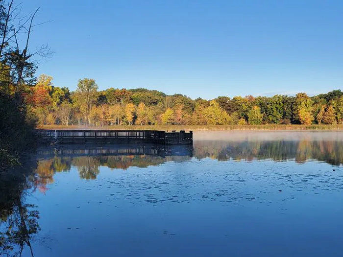 fishing pier with fall colored leaves on tree in background