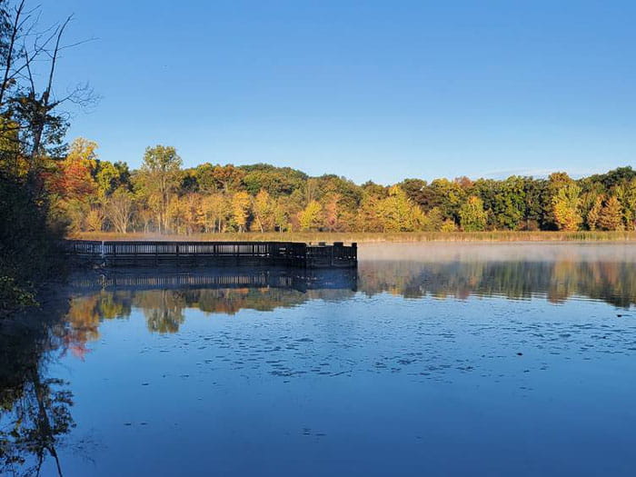 fishing pier with fall colored leaves on tree in background
