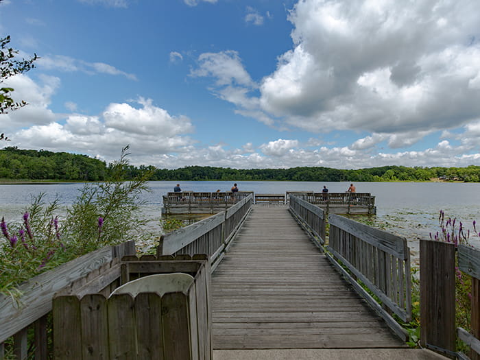wood planked pier