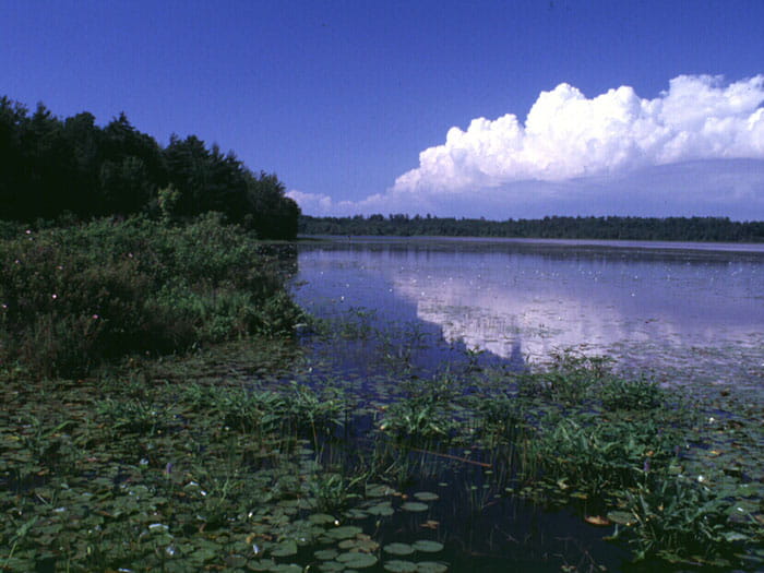 Black lake shoreline