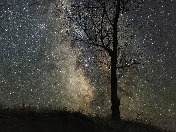 Hoffmaster night sky by Viau