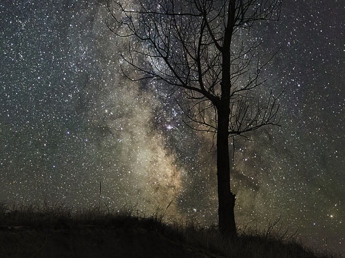 Hoffmaster night sky by Viau