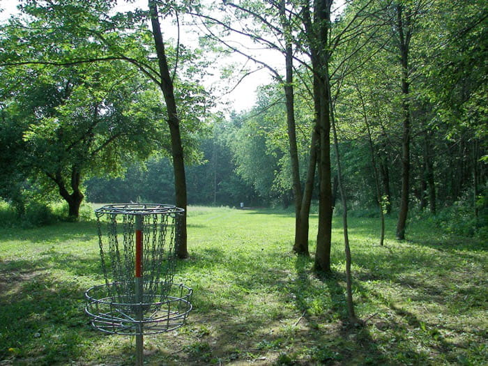disc golf cage
