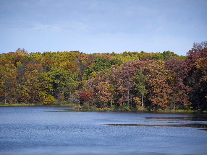 lake with changing leave color