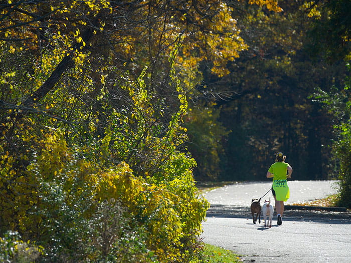 runner with two dogs