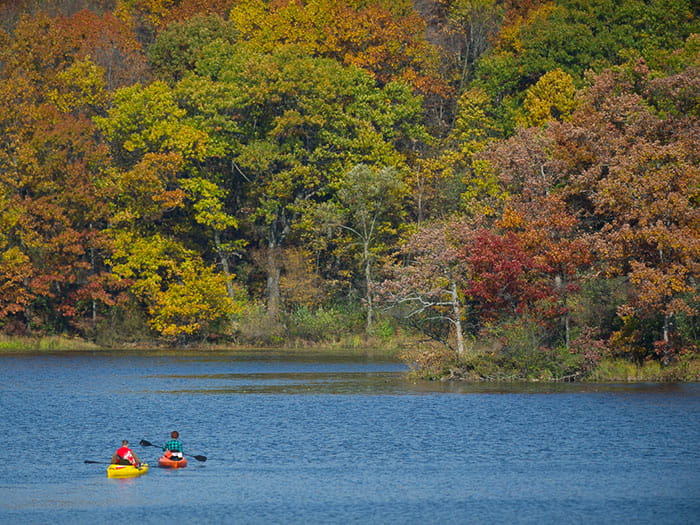 two kayakers on water with fall leaves