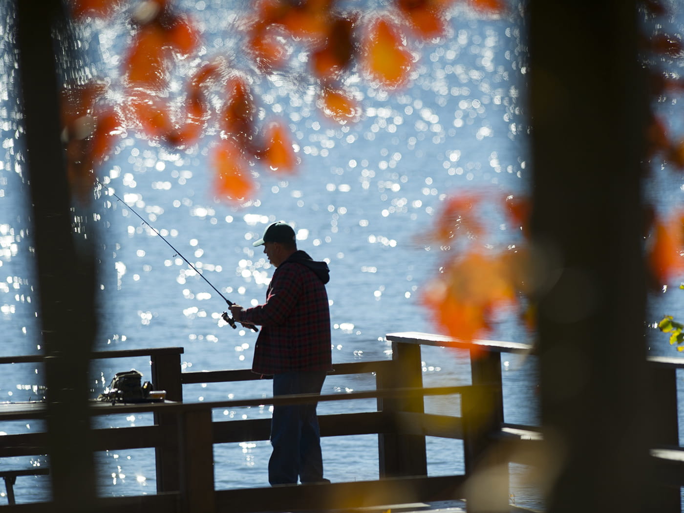 angler fishing from pier with fall leaves surrounding silhouette