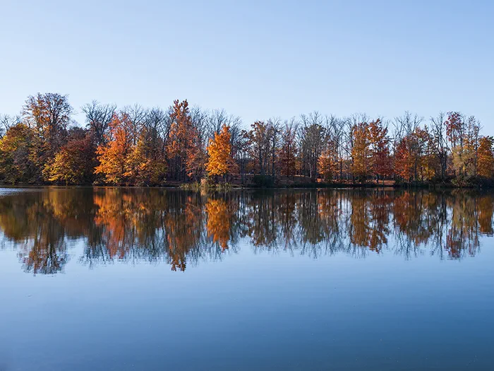 trees with fall leaves reflecting in lake