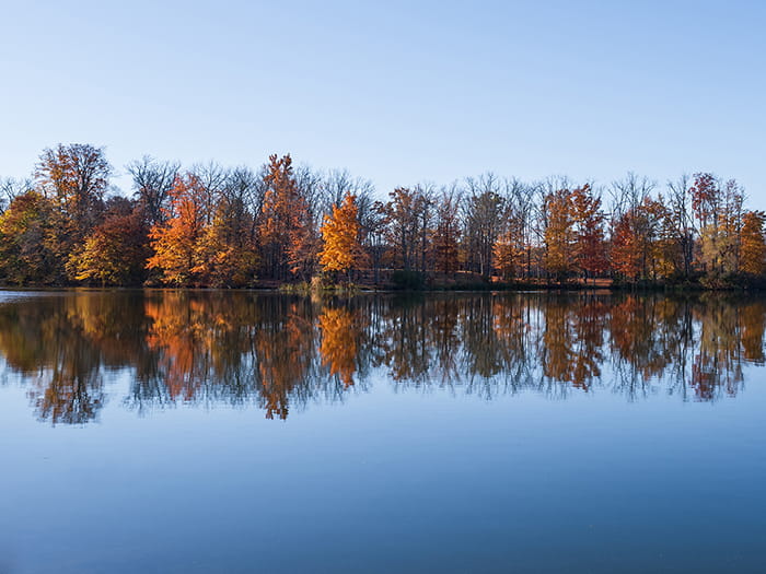 trees with fall leaves reflecting in lake