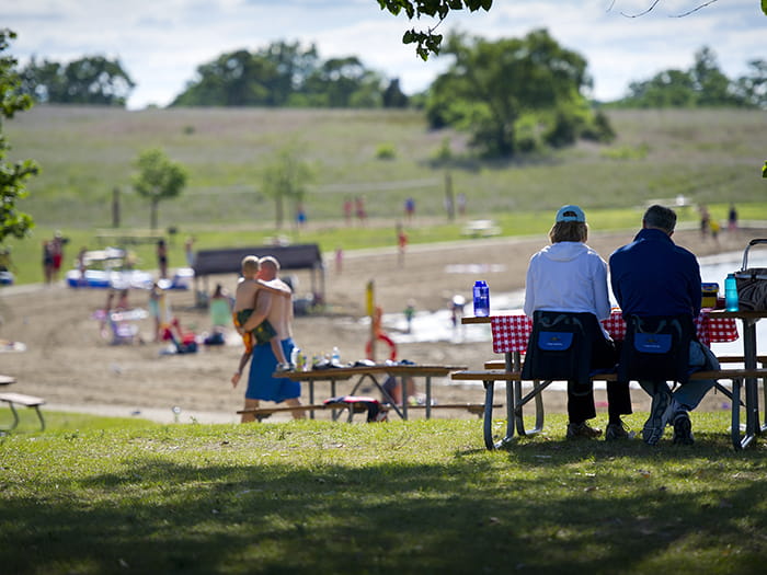 picnickers looking out at beach