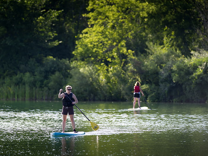 two paddleboarders paddling on water