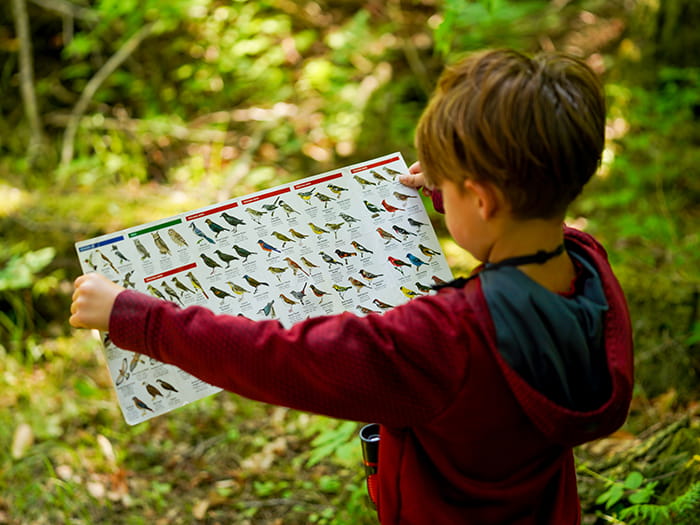 kid holding up bird brochure