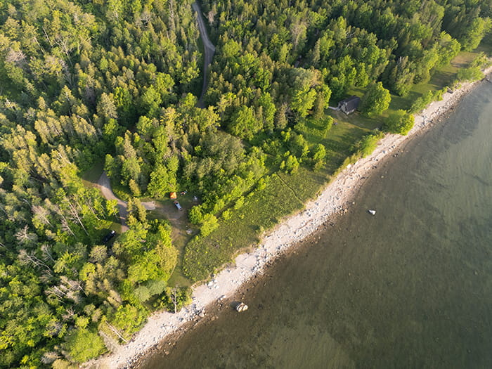 birds eye view of trees and shoreline