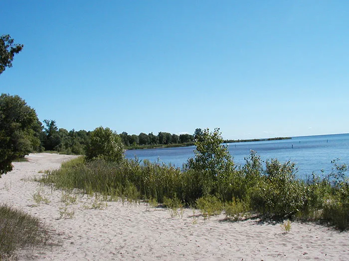 shoreline