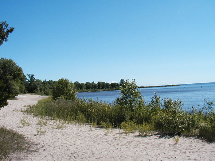 shoreline
