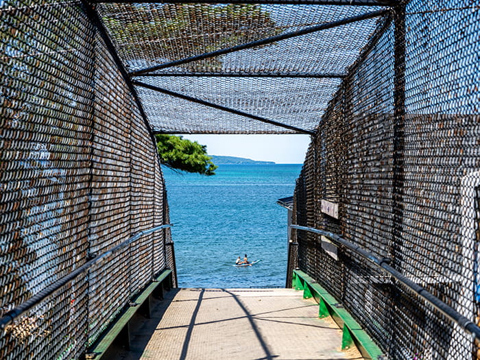 walkway with water