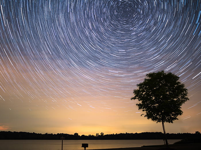 starry sky above tree and water