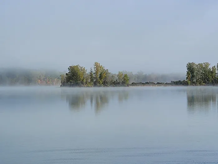 foggy lake with tree line in the distance